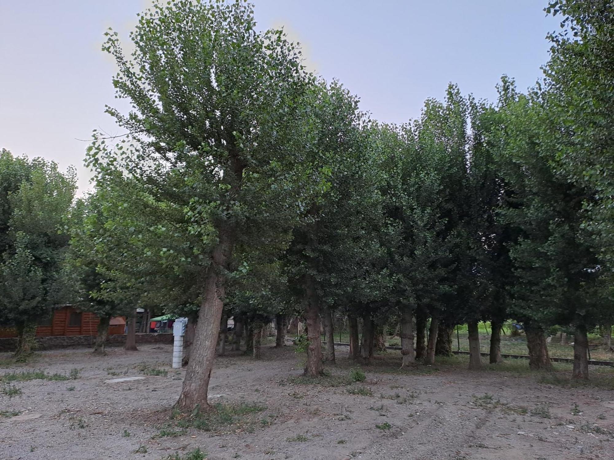 Camping Valle Del Andarax Fondón Exterior foto